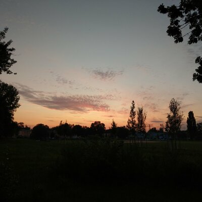 in5tall@social.tchncs.de