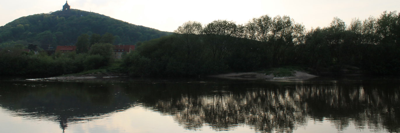 Header Image