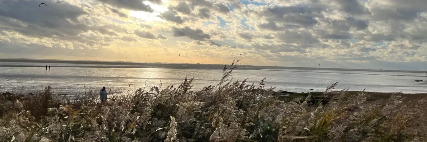 Header Image