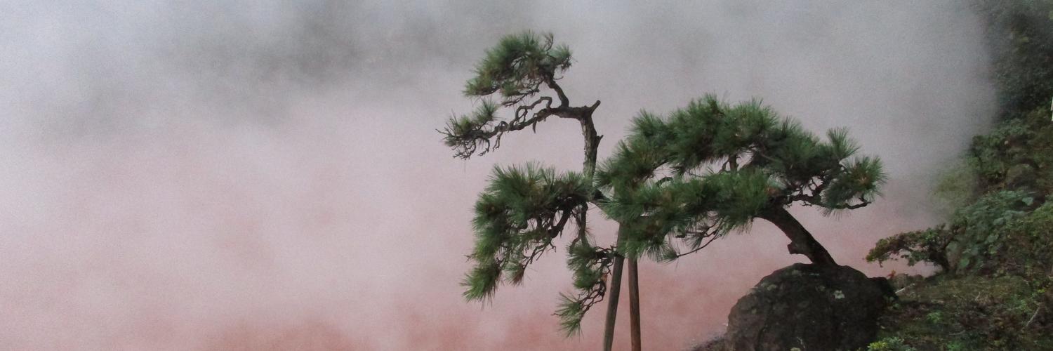 Header Image