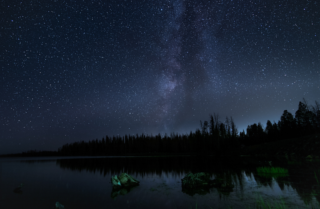 Header Image