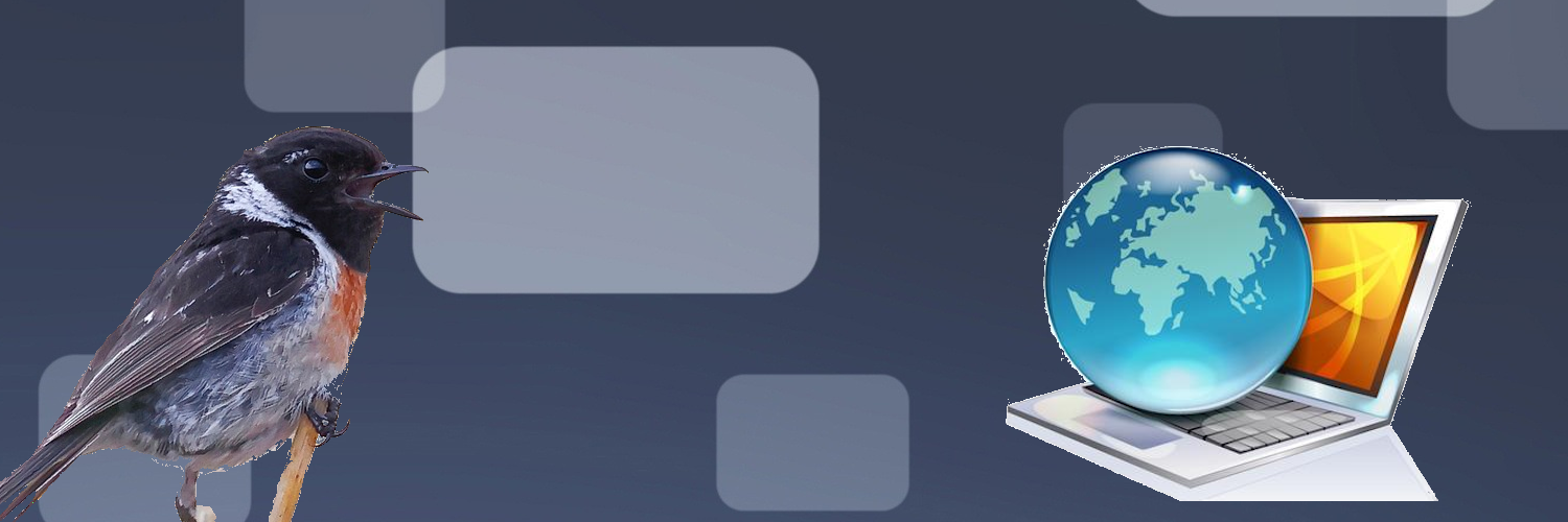 Header Image