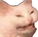 :cate: :cate: