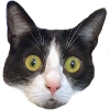 :owo: :owo: