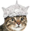 :tinfoilcat: