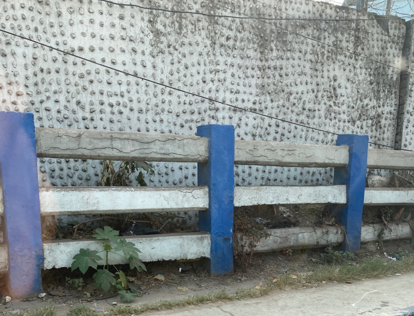 Blue and white fence in front of a rough cement wall