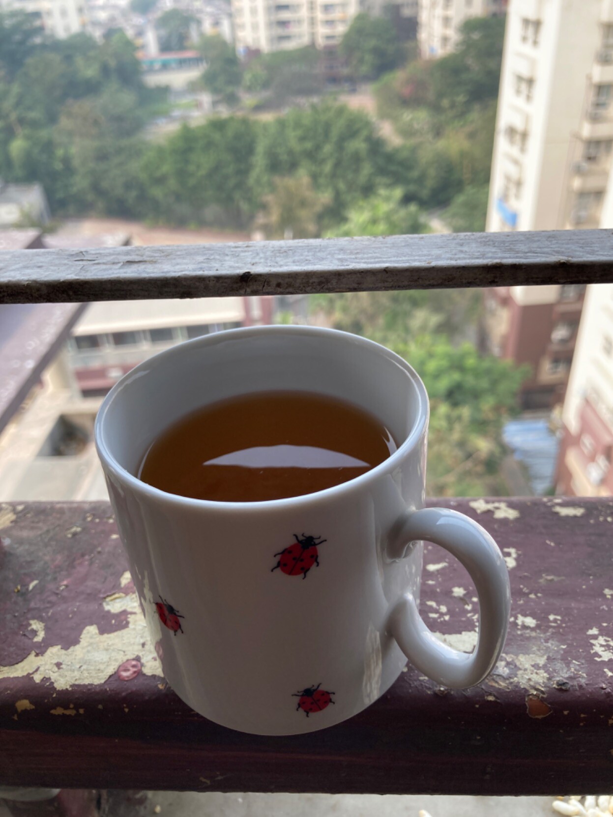 Mug of golden red tea on ledge overlooking apartment buildings and greenery from a high floor