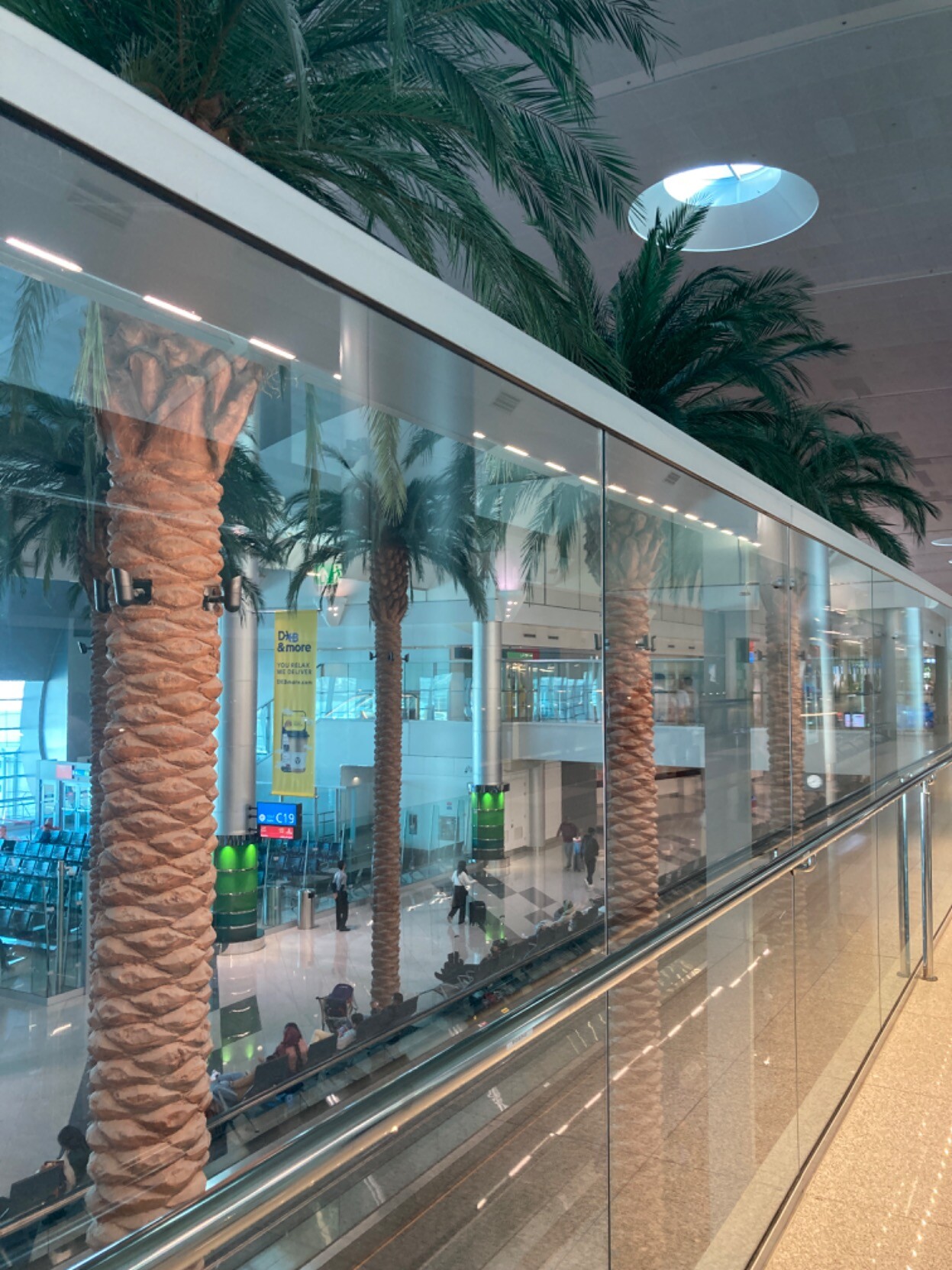 Behind a glass wall, palm trees and an otherwise ordinary airport concourse