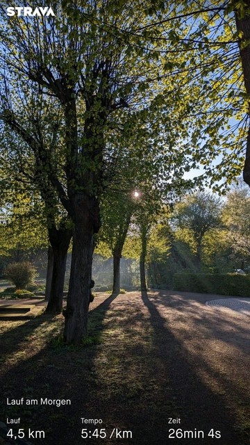 Frühlingsgrüne Bäume im Park die Sonne blitzt durch die Äste, Frühnebel liegt zwischen den Bäumen. 
unten steht : Lauf am Morgen 4,5 km 5:45/km 26min 4 s