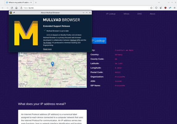 Screenshot von dem Mullvad-Browser mit aktiviertem Proton-VPN-Plugin. 