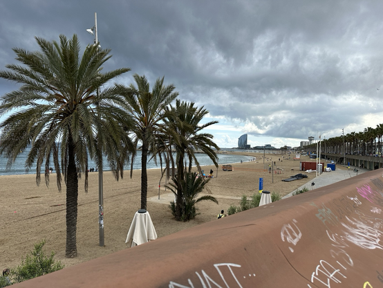 Im Vordergrund drei Palmen auf dem Sandstrand. Dahinter das Mittelmeer in hellem Blau, weil es heute sehr bewölkt ist. Man sieht einen Teil der Balustrade von der Strandpromenade in rot