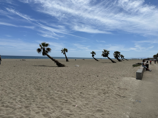 Sandstrand mit schiefen Palmen unter blauem Himmel