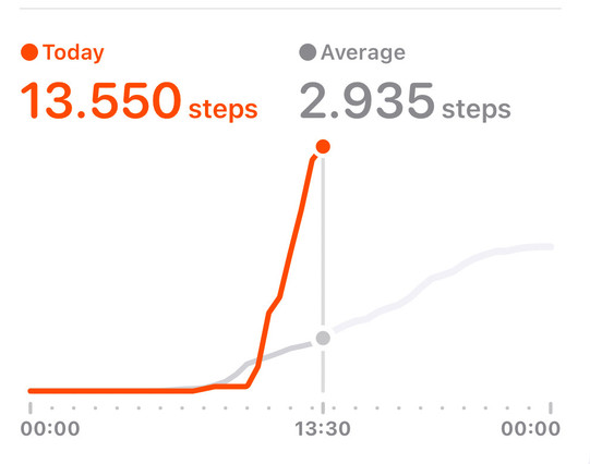 Screenshot from the iOS Health app showing the step graph over the day. It starts steeply rising at around 11, reaching 13,550 steps at 13:30. Average at that time is 2,935 steps.