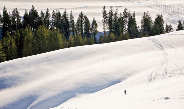 Es ist eine hüglige Landschaft in den Bergen zu sehen. Sie ist verschneit, teilweise sieht man Spuren von Skiläufern darauf. Es ist ein Skiläufer zu sehen. In einem Bereich stehen Nadelbäume, auf denen kein Schnee zu sehen ist.