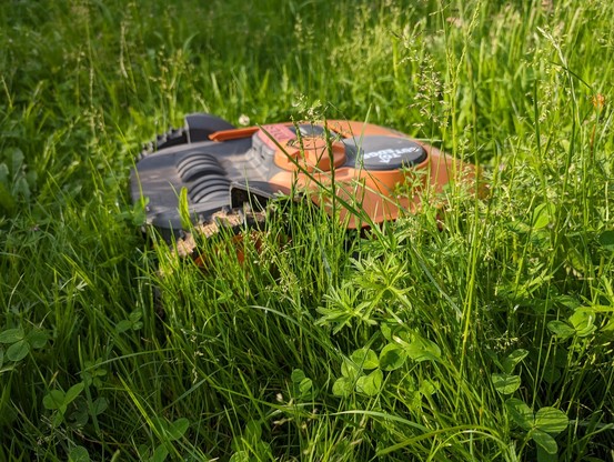 Rasenmäher-Roboter komplett in Gras und Unkraut eingewachsen.