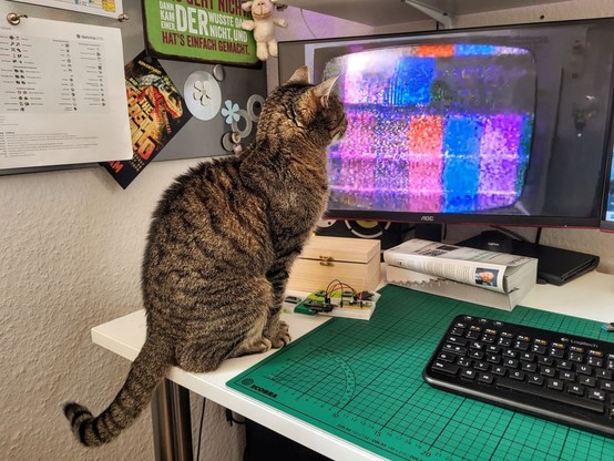 Tigerkatze Lissy sitzt auf dem Schreibtisch und guckt ein Video, wo jemand versucht, einen kaputten Fernseher zu reparieren.