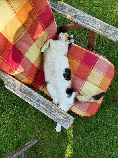Schlafende Katze, lang ausgestreckt, auf Gartenstuhl.