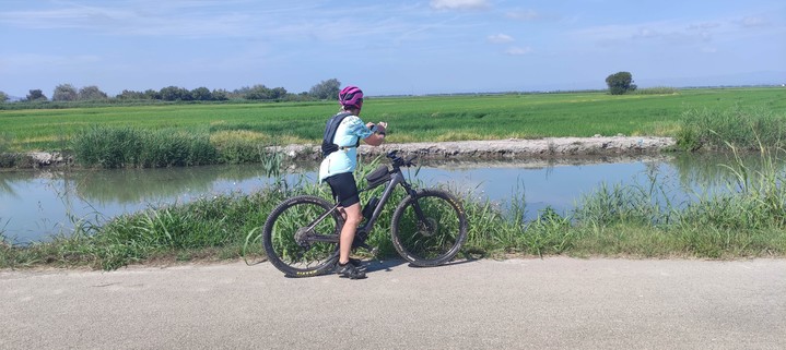 Woman on bicycle looking towards a rice field by some water