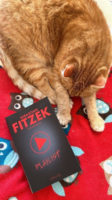 A ginger cat sleeping on a red blanket with owl designs, next to a book titled 