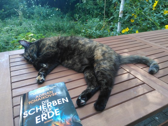 Foto von einem Tisch im Garten. Darauf liegt schlafend eine Schildpatt Katze und ein Buch, 