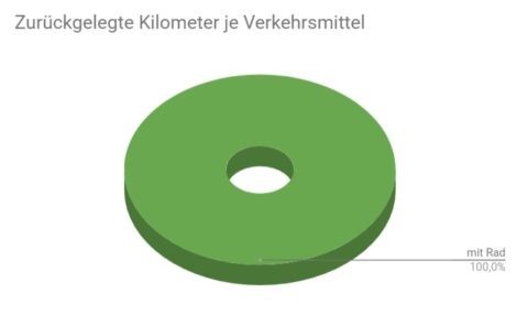 Makelloses Tortendiagramm für die Wegstrecken.