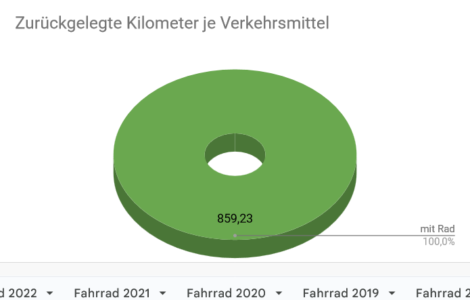 Die zurückgelegten Wegstrecken je Fahrzeugart von Januar bis Juli 2024<br>Immer noch eine perfekte, nicht angeschnittene Torte!