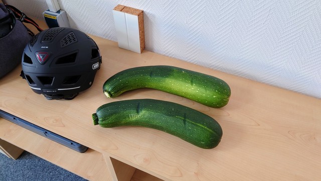 zwei sehr große Zucchinis