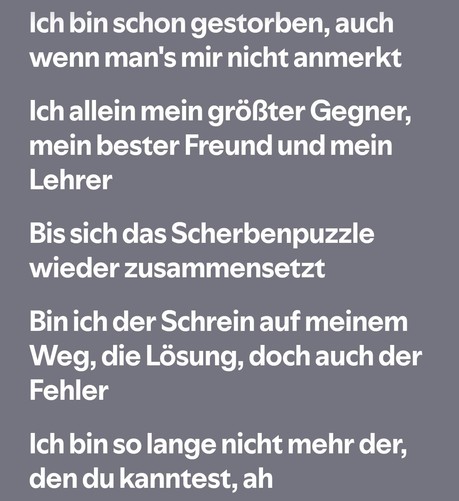 Textauszug aus dem Song Scherbenpuzzle von Kontra K:

