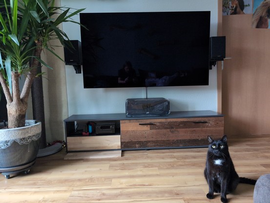 65 Zoll Fernseher mit 2 Regallautsprecher daneben. Darunter ein riesiger Centerlautsprecher.
Katze hat sich ins Bild geschlichen. 