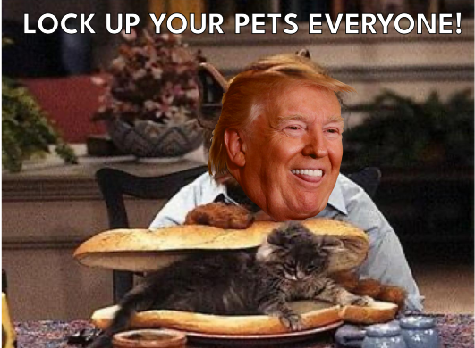 Image of the meme where ALF, the fictional comedy TV Alien, has a sub roll with just a kitten inside it.

ALF's face has been (hastily) replaced with the face of Trump looking repulsive and half sticking his tounge out.

Caption at the top reads (in all caps):
