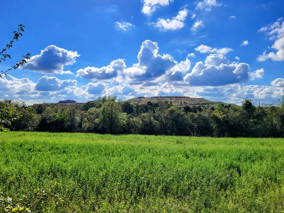 Im Vordergrund ein Feld. Im Hintergrund  ein großer Hügel. Blauer Himmel mit Schäfchenwolken.