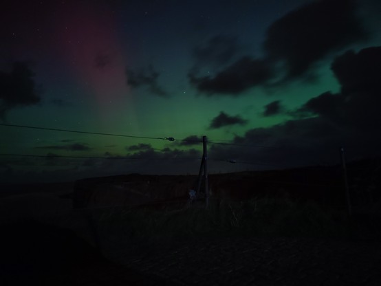 Rot-grünlich schimmernder Himmel, teils verdeckt von ein Wolken.
unter dem Horizont ist dunkler, Gras-Boden erkennbar. Mittig steht ein Draht-Zaun mit Pfeiler.