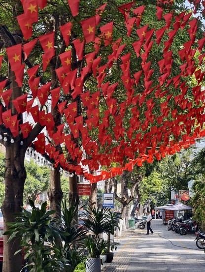 Lots of tiny red Vietnam flags lined up across a tree, blue sky avoce and curbside below 