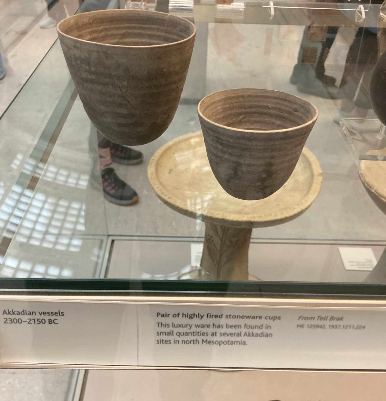 2 thin, tan-colored cups in a vitrine, one much bigger than the other