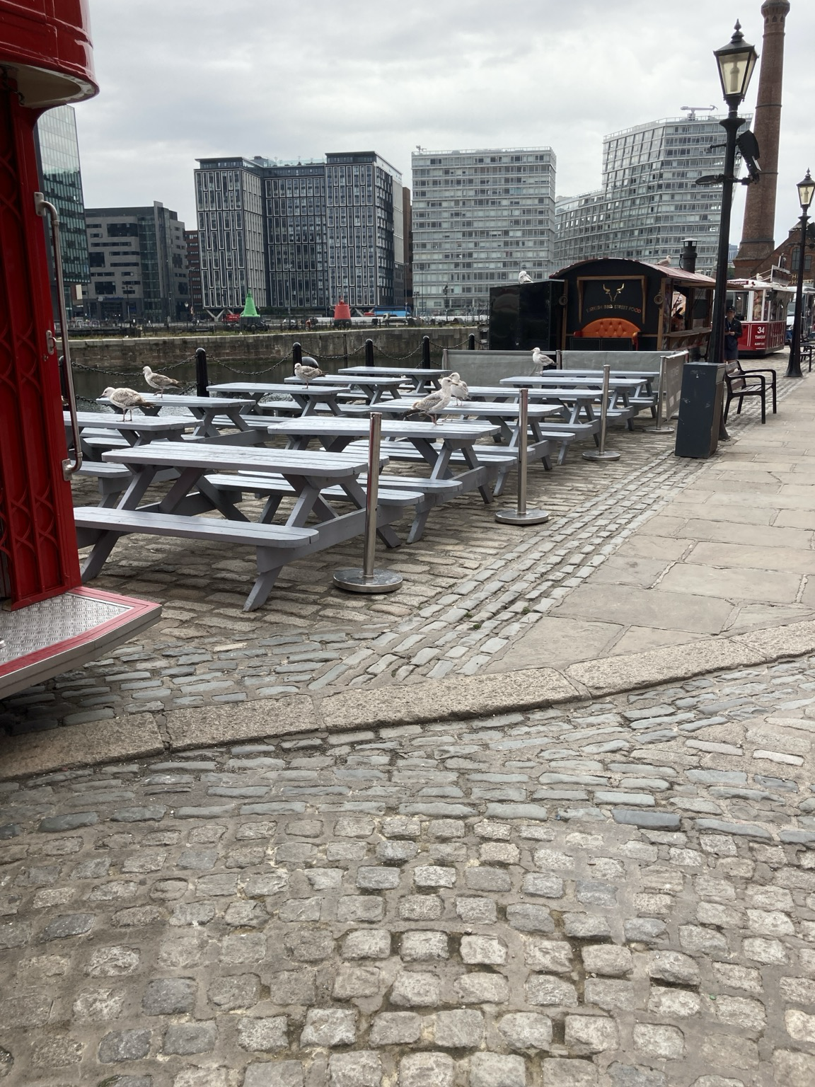 On cobblestones, pucnic tables festooned with seagulls