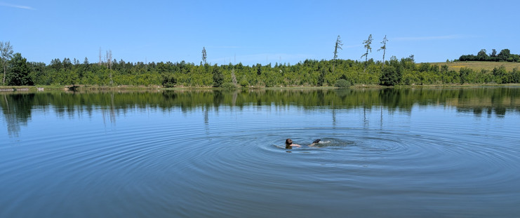 Ein Junge schwimmt in einem blauen See unter einem komplett blauen Himmel. Am gegenüberliegenden Ufer sieht man einige Büsche.