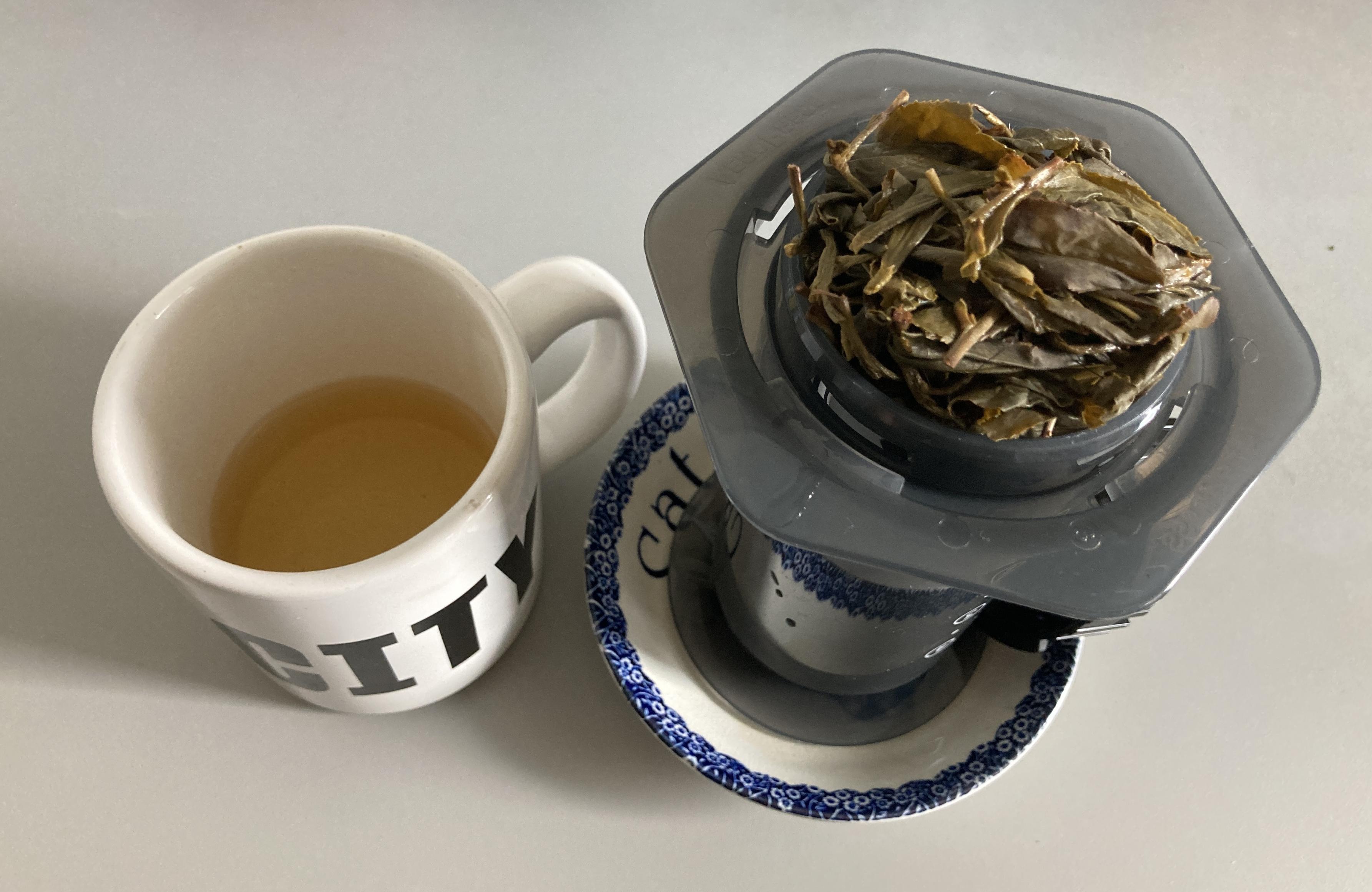 Next to a mug 1/3 full of golden liquor, an inverted uncapped Aeropress with plunger all the way in and big green leaves overflowing stands in a small bowl along with its filter and cap.