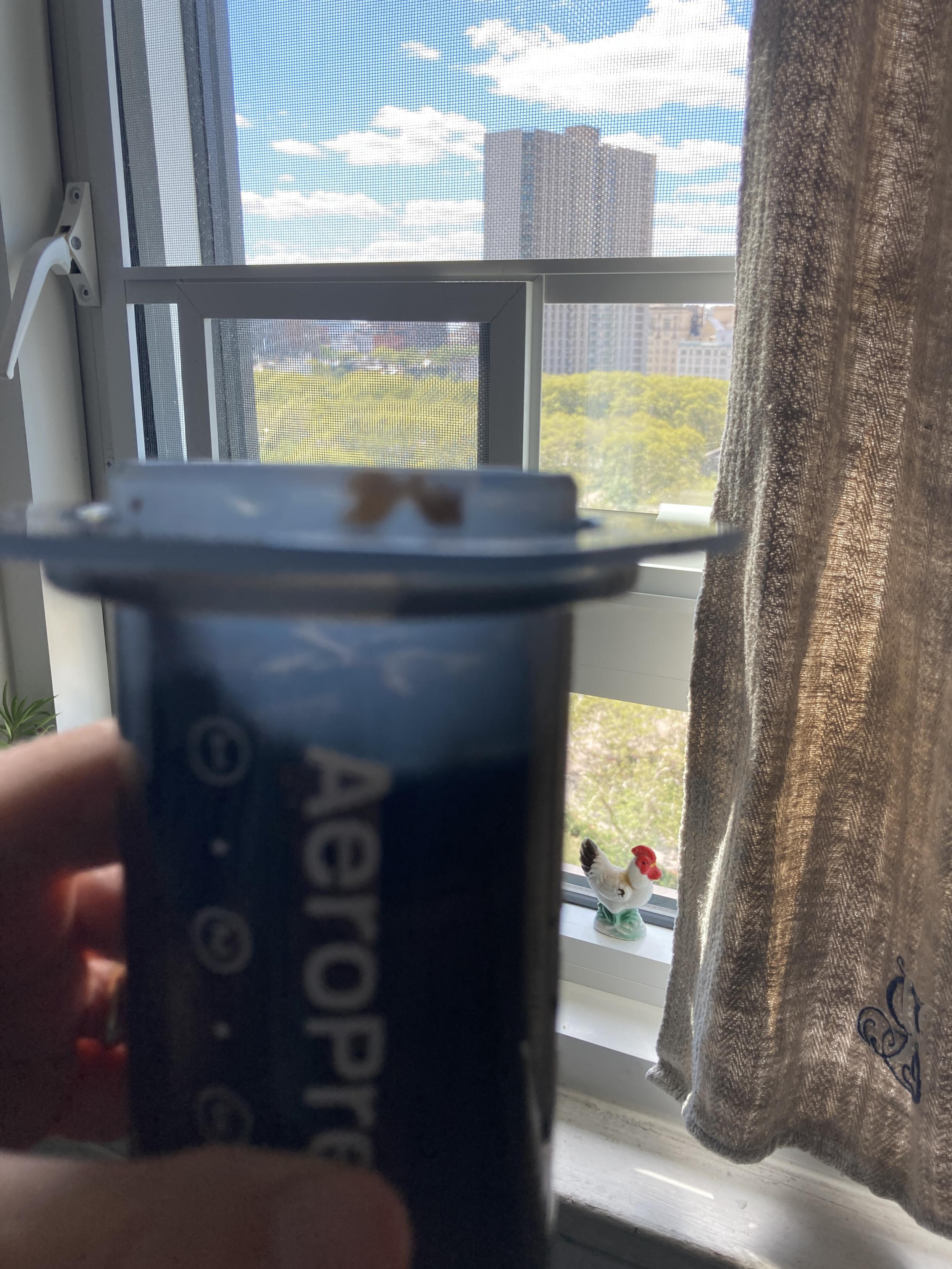 Same Aeropress seen against a window such that it’s easier to tell where the plunger is