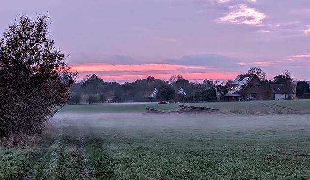 Eine Wiese über der Bodennebel liegt. Links führt ein Feldweg die Wiese entlang. Links des Weges steht eine Weide. Im Hintergrund sieht man Wohnhäuser, hinter denen die Wolken vom Sonnenuntergang leicht rötlich leuchten.
