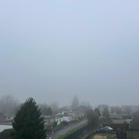 Das Bild ist von Nebel dominiert, der die Sichtweite einschränkt. Im Vordergrund sind die Silhouetten von Baumkronen erkennbar, darunter auch ein dichter Nadelbaum auf der linken Seite. Dahinter erstreckt sich eine Wohngegend die teilweise von Bäumen verdeckt ist. Die Dächer der Häuser sind in verschiedenen Grautönen zu erkennen. Eine Straße führt durch die Siedlung, an der einige Autos geparkt sind. Am rechten Bildrand ist ein zu sehen.Ein leichter Farbton von Grau durchzieht das gesamte Bild.