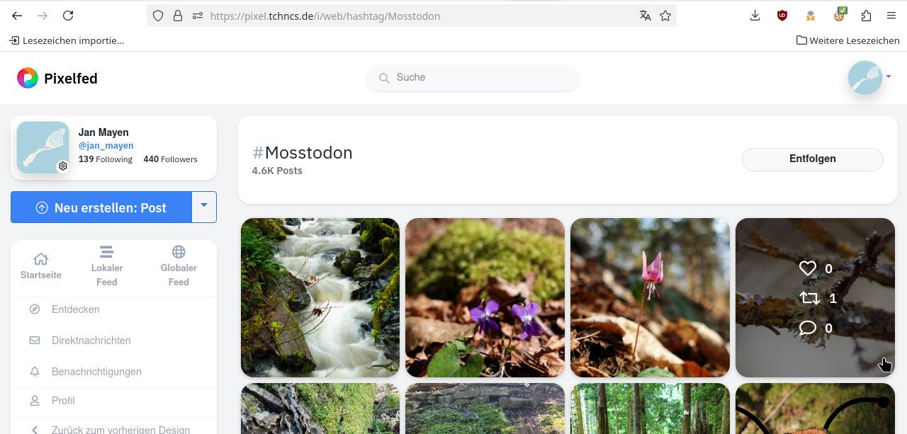 Link Preview Image