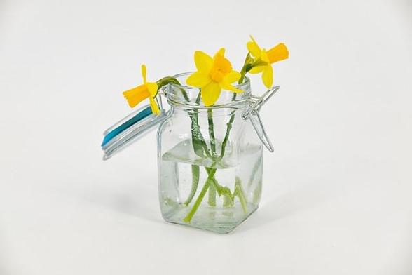 Foto eines Einmachglases, das als VAse für Narzissen dient, auf einem weißen Hintergrund.