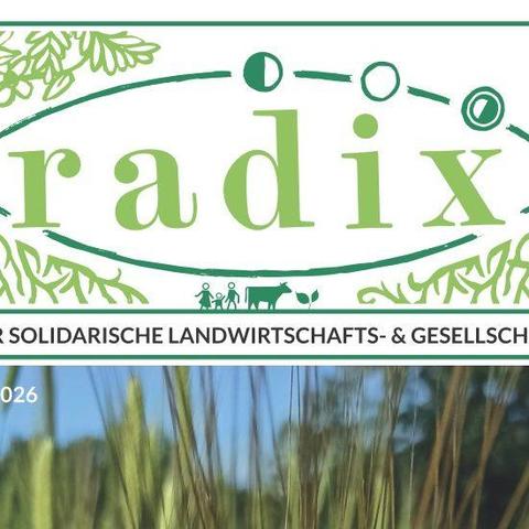 Auschnitt des Magazin-Covers, der den Titel "radix" zeigt