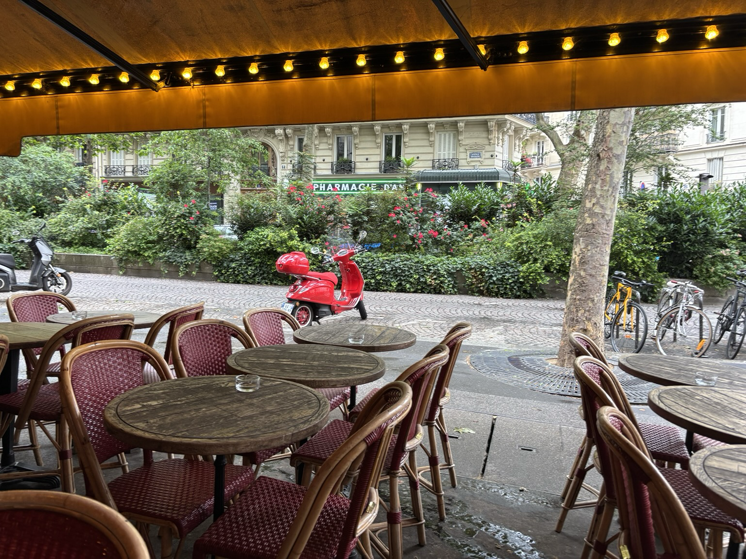 Vor einer französischen Brasserie ein roter Roller, dahinter Grünstreifen mit Bäumen
