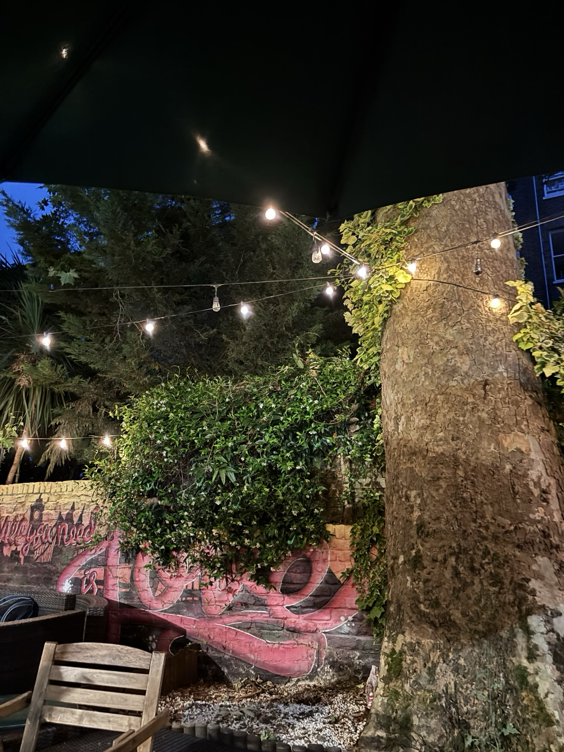 Baum mit Lichterkette