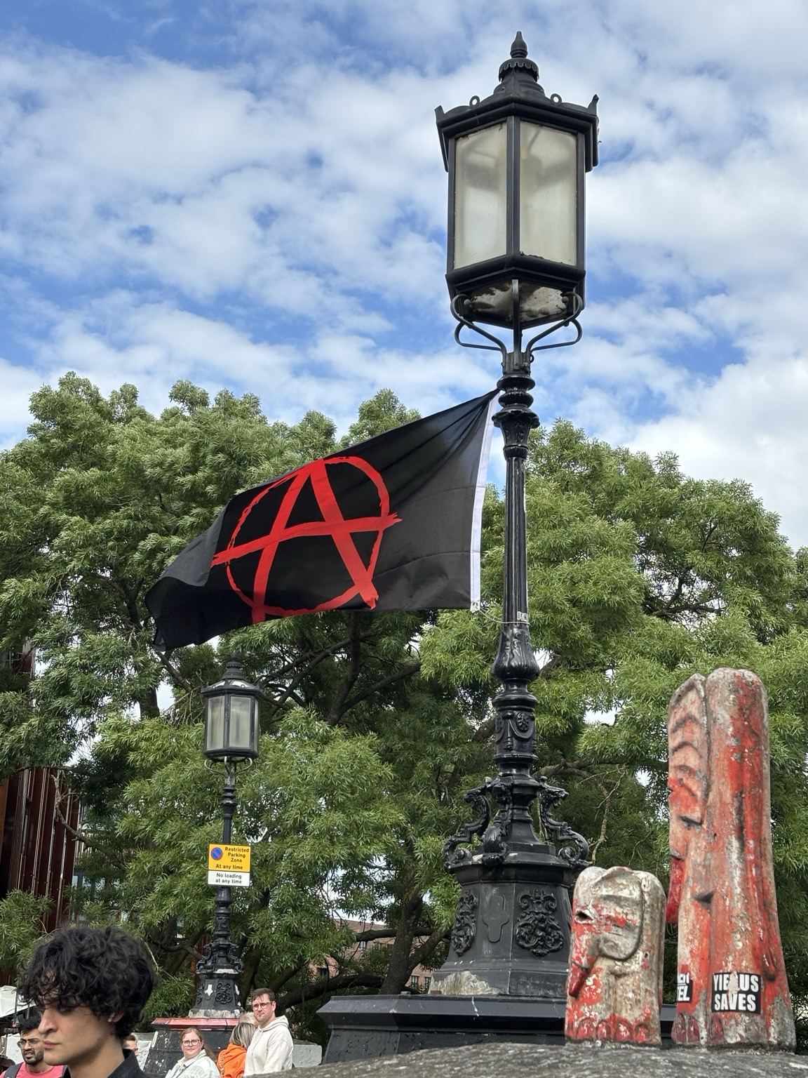 Schwarze Flagge mit rotem Anarchie-A an einer schwarzen Straßenlaterne vor Bäumen und