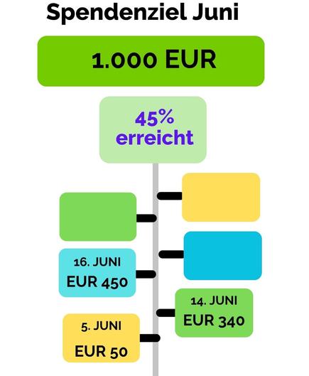 Unser Spendenziel im Juni. Von 1.000 Euro wurden 45% erreicht. Stand am 16.6. ist 450,- Euro