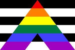 Das Logo der Straight Allies:
Ein Rechteck ist in schwarze und weiße Querlinien unterteilt. Darüber eingeblendet die Regenbogenfarben als spitzer Winkel nach oben.