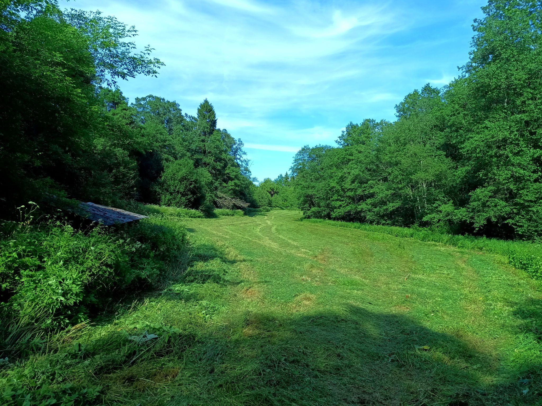 A lush meadow between a steep slope on the left and a forest hiding a river on the right. The grasses have been mowed for hay. There's a crooked, old shack on the left.