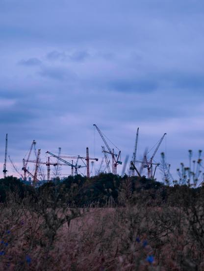 Lots of cranes from the distance, merging with the meadows, which is part of a compensation measure built 25 years ago when AMD (now GloFo) arrived in Dresden. This works surprisingly well